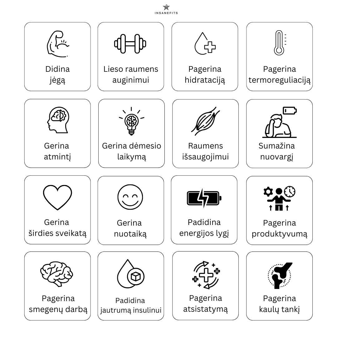 Insane Pure creatine - Kreatinas