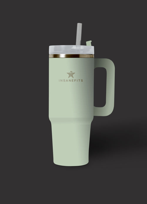 Stainless steel drinking bottle Insanefits